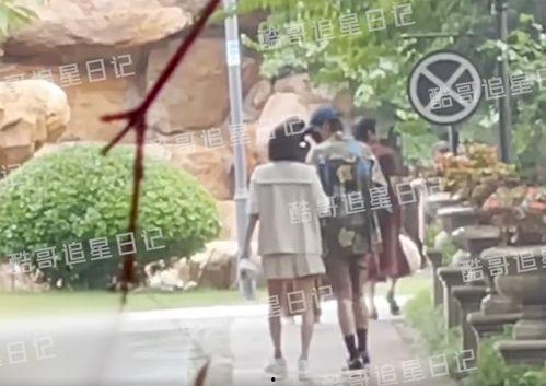 秦岚八卦最新爆料视频,揭秘明星背后的故事