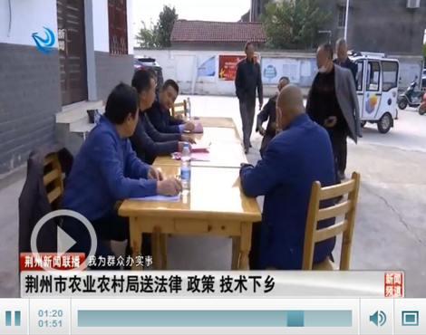 今日农村爆料新闻网,聚焦农村热点，揭示民生真相