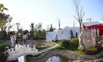 周口森林公园爆料视频最新,探秘神秘自然奇观，揭秘生态旅游新热点！